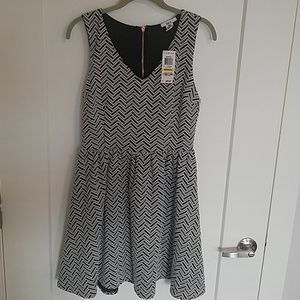 NWT Black and White Chevron skater dress